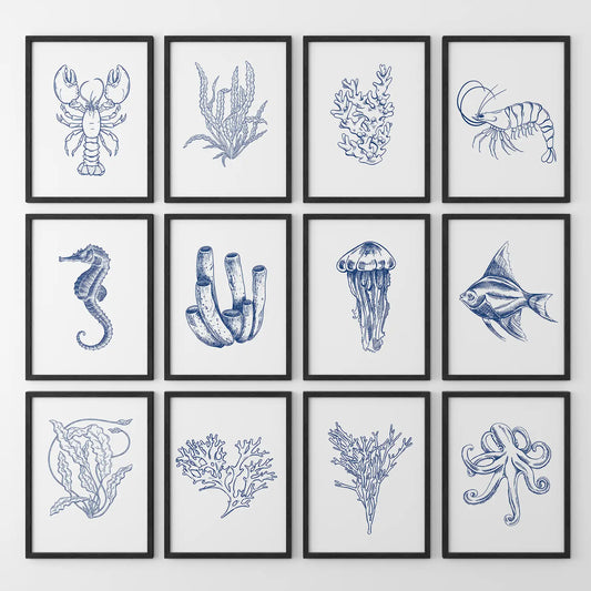 Coastal home décor prints featuring fish, lobster, seahorse, and jellyfish. Black frames for living room.
