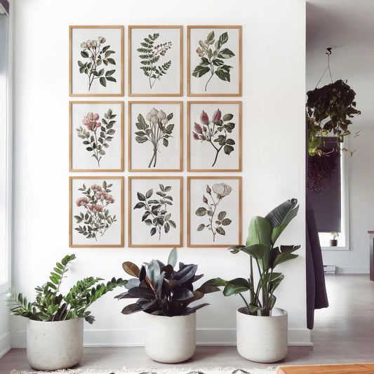 Rosehip floral art poster. Neutral watercolor botanical illustration. Wood frames for apartment.