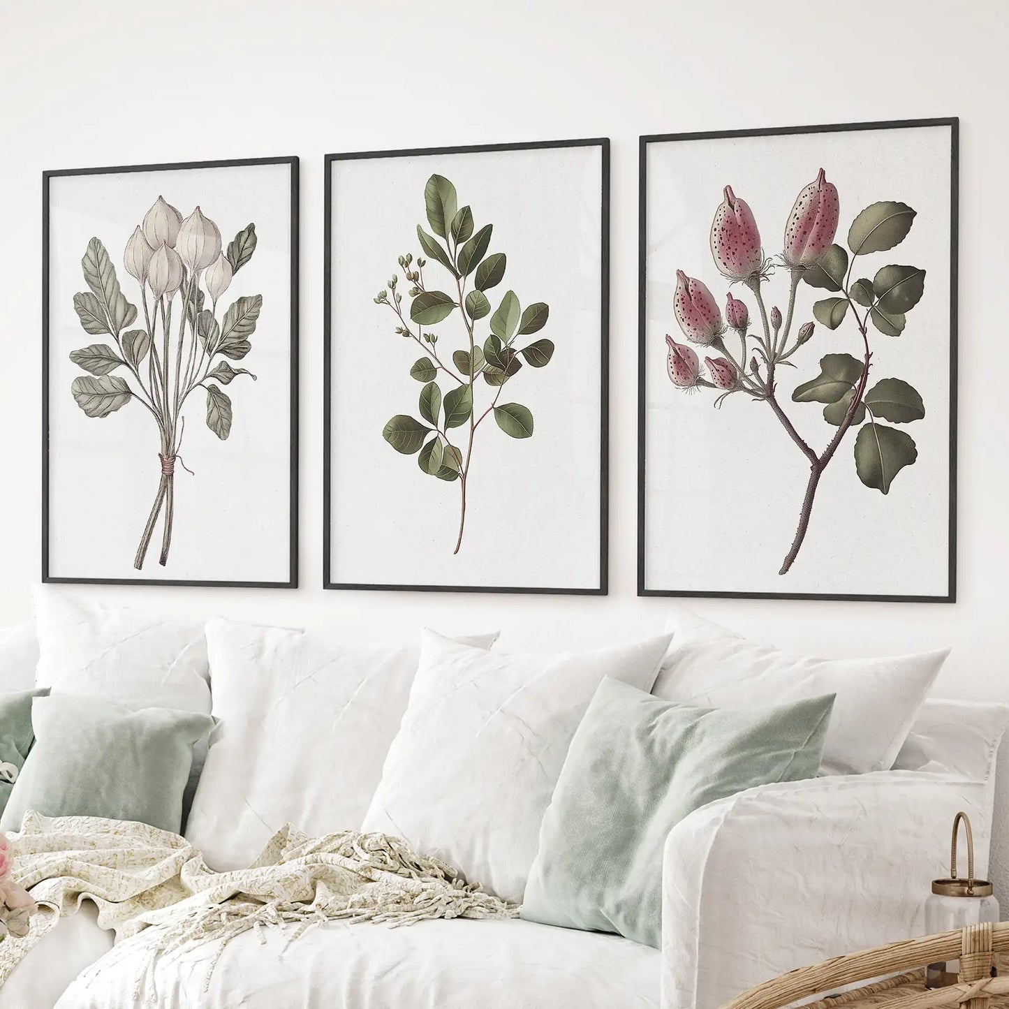 Retro botanical poster. Farmhouse wall decor garden plant. Black frames over the couch.