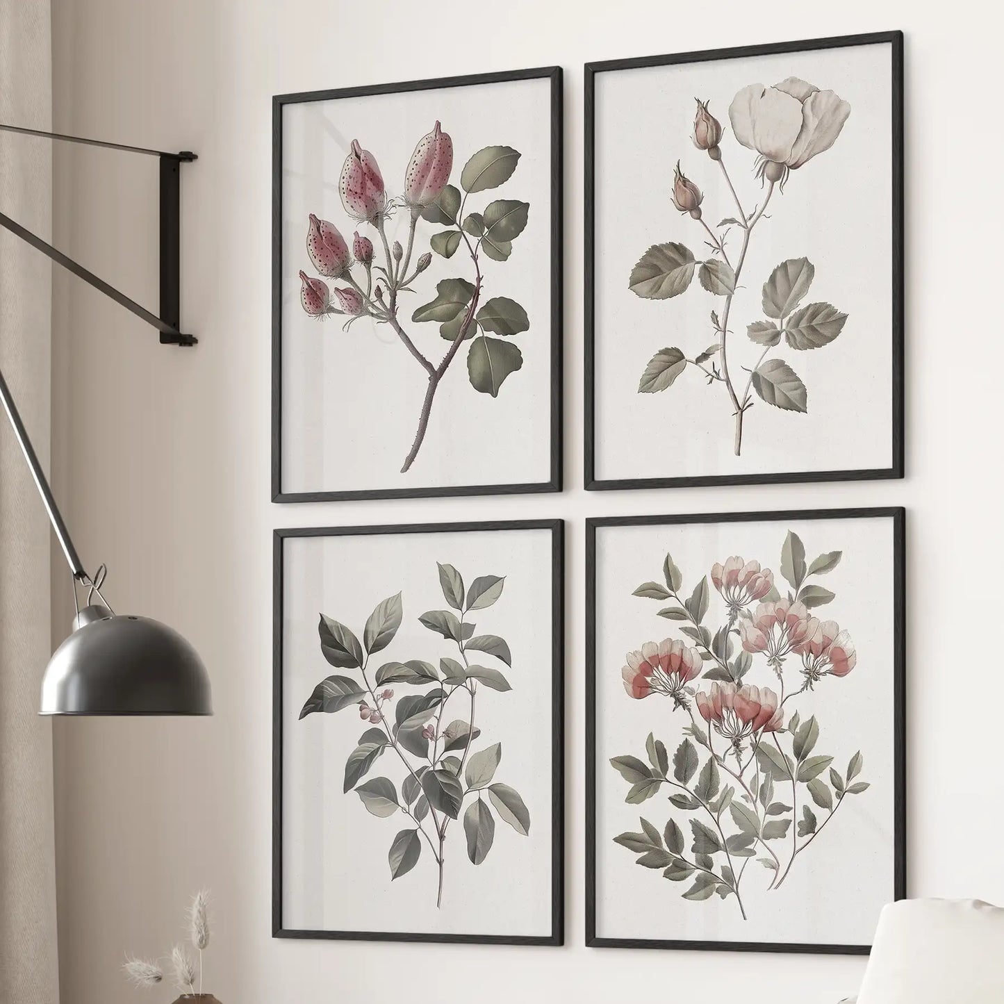 White rose flowers poster print. Antique botanical gallery wall set of 6 prints. Black frames for living room.
