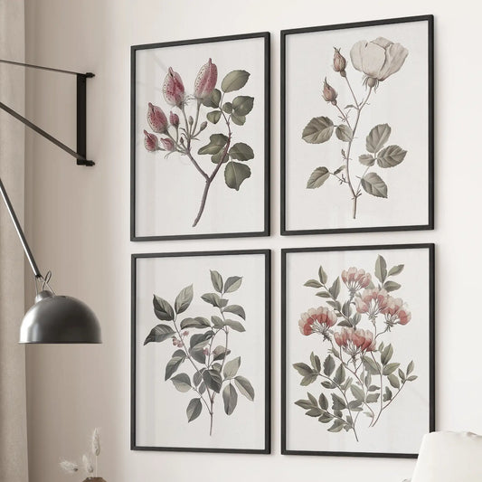 White rose flowers poster print. Antique botanical gallery wall set of 6 prints. Black frames for living room.