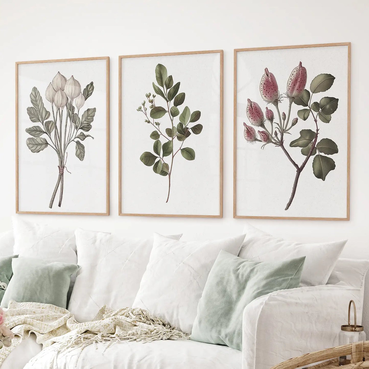 Botanical neutral illustration. Retro flowers apartment decor posters. Thinwood frames above the sofa.