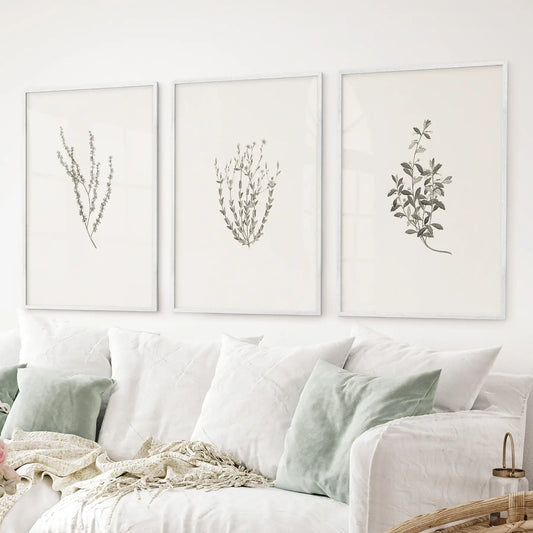 Vintage-style farmhouse flower illustrations in white frames, botanical poster set