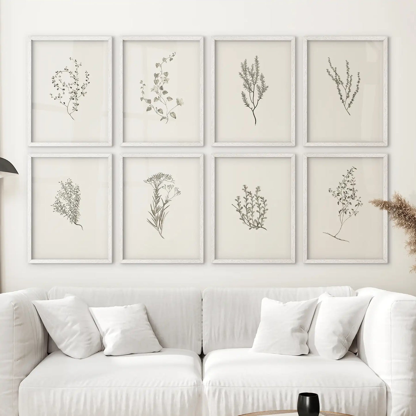 Nature inspired wall art 8 neutral toned line drawings of botanical plants. White frames over the couch.