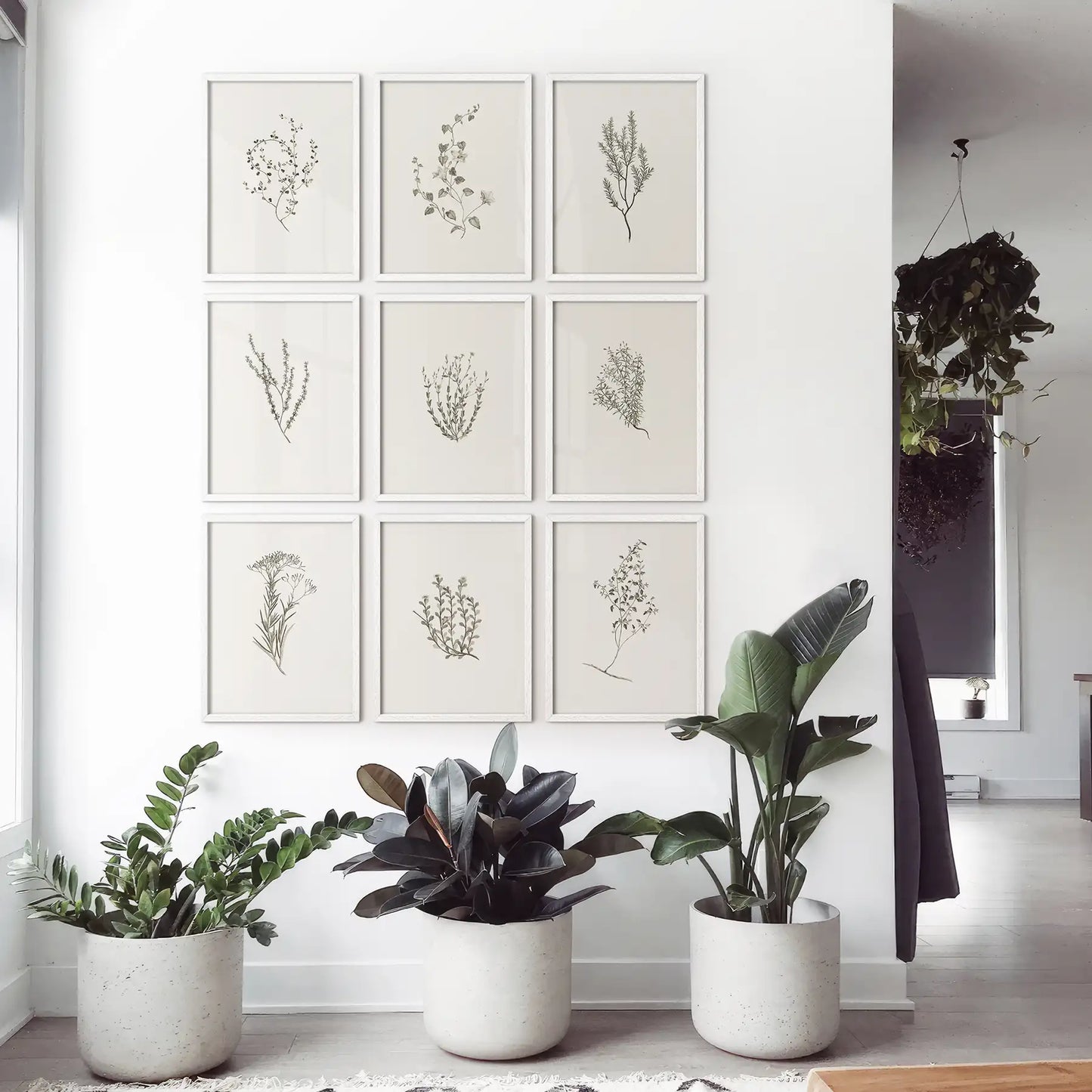 Hand drawn botanical wall decor, perfect for farmhouse interiors. Rustic plant wall set. White frames for apartment.