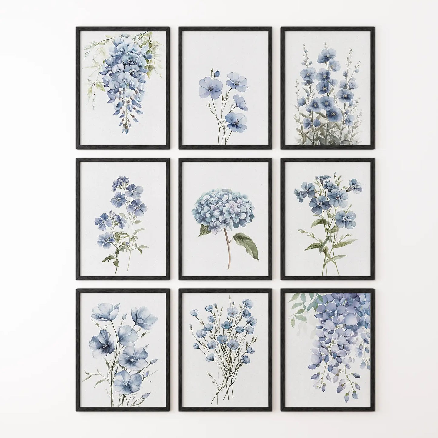 Watercolor hydrangea art print. Meadow wild flowers poster set. Black frames for apartment.