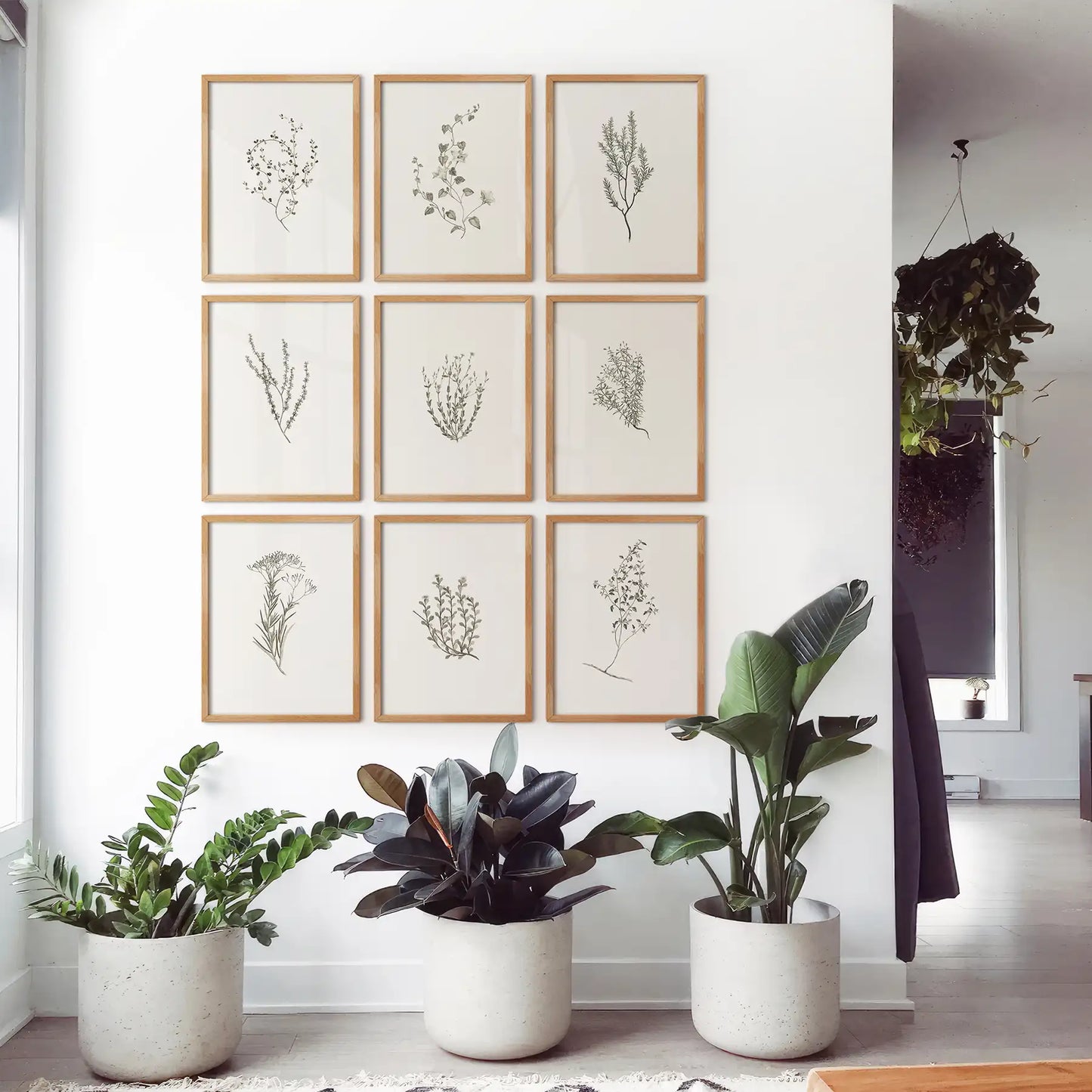 Minimalist plant wall art featuring fine line wildflower drawing. Garden plants poster print. Thinwood frames for living room.
