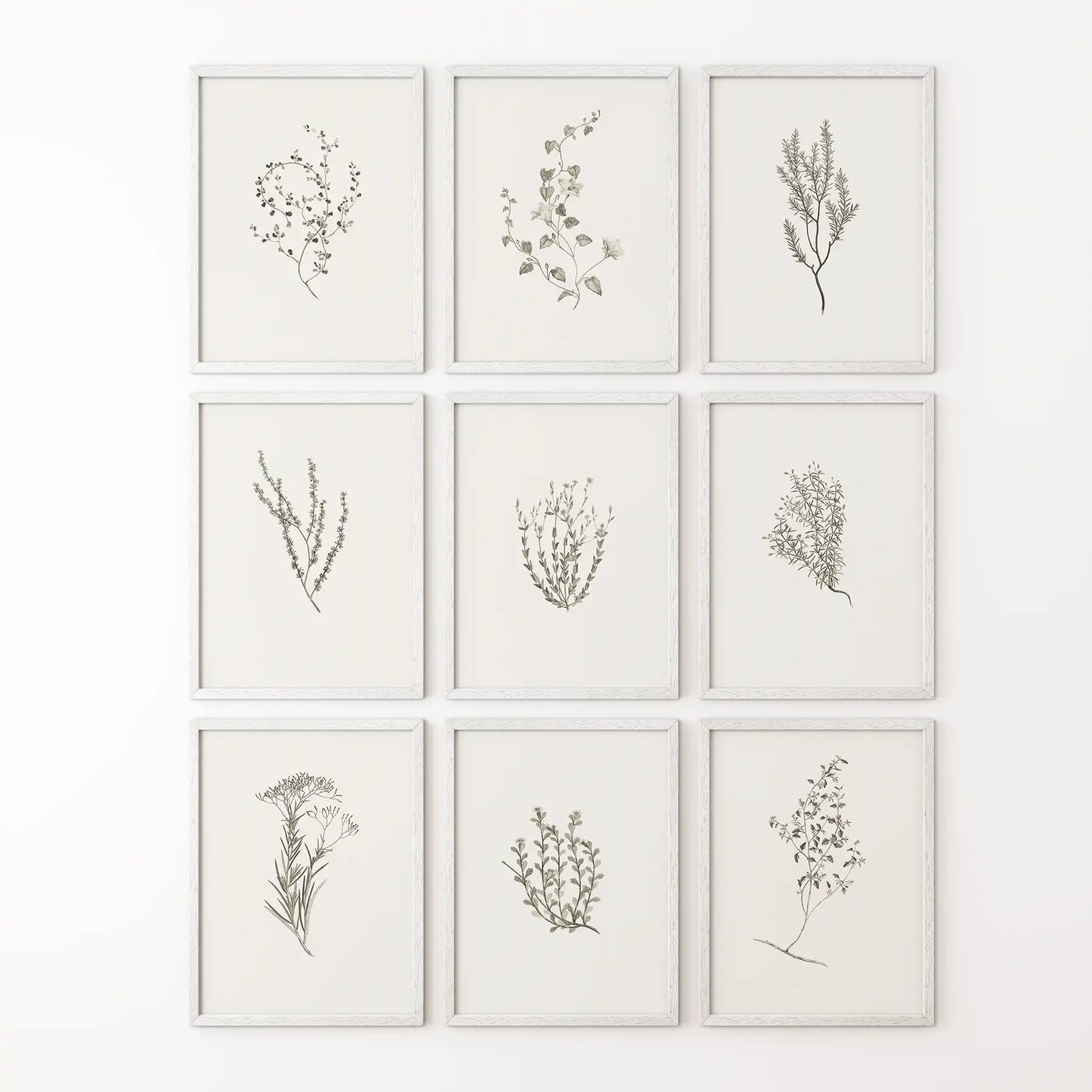 Scandinavian style herb artwork set in minimalist design. 9 piece wild greenery prints decor art. White frames for kitchen.