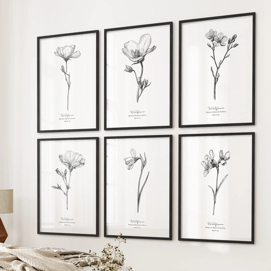 Black-and-white flower line drawings, set of six wall art prints, in black frames hang in the bedroom near the bed, lending vintage botanical charm with a crisp monochrome look.