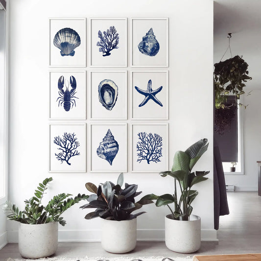 Summer print seashells room decor. Ocean coastal modern wall art illustration. White frames for living room.