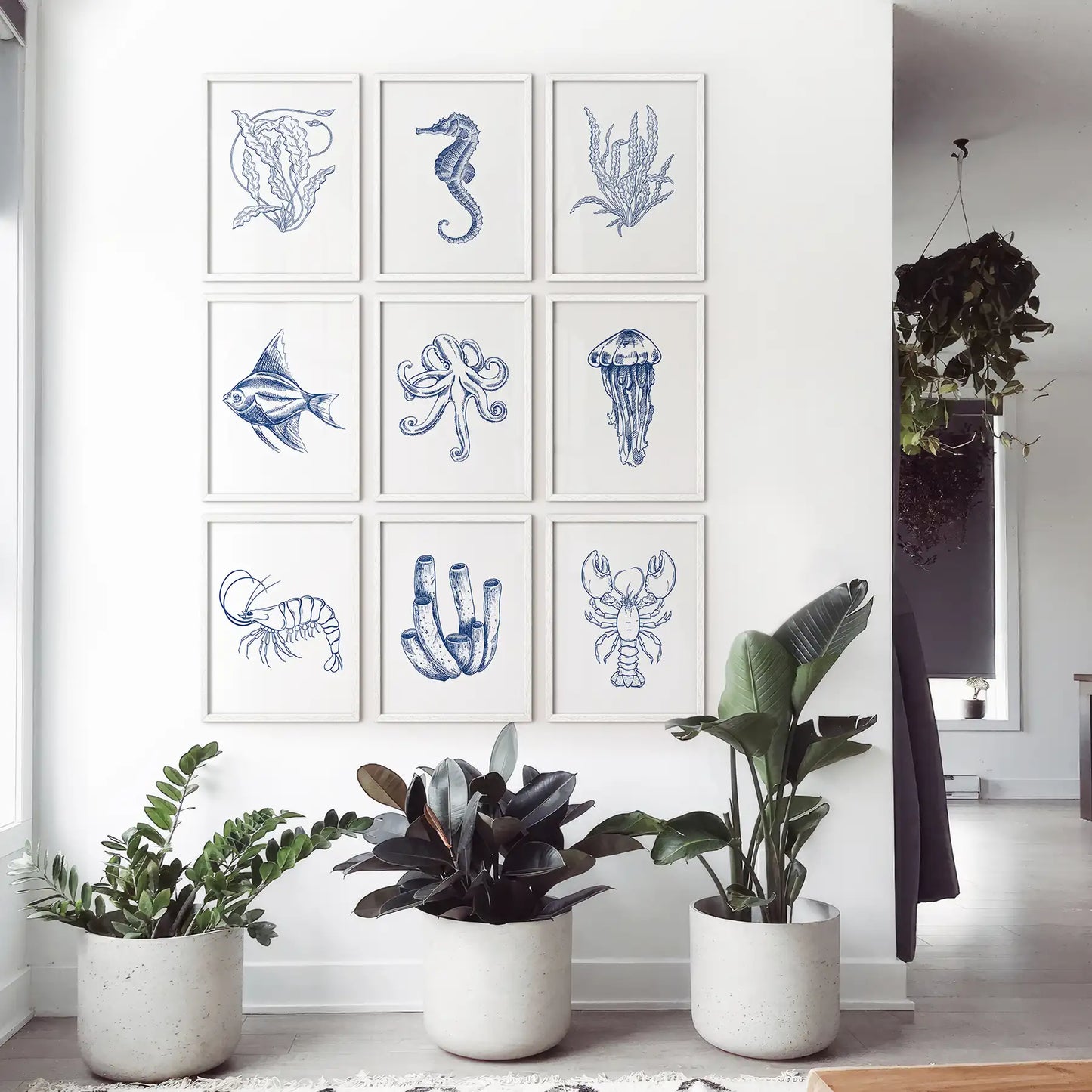Coastal sea life wall art set including shrimp, seahorse, jellyfish, and ocean plants. White frames for living room.