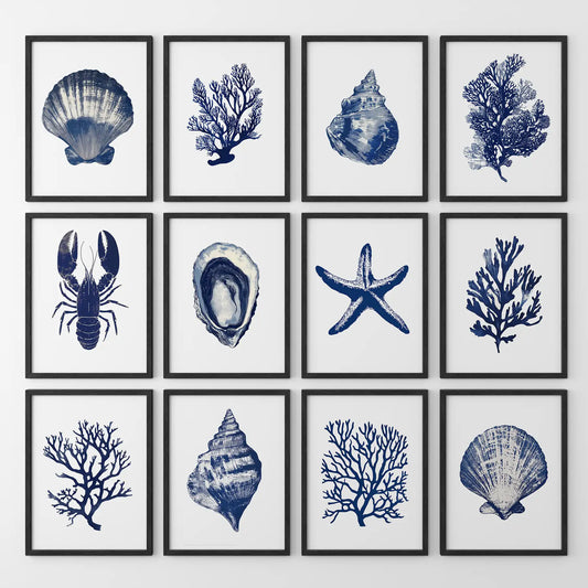 Sea life art set undersea poster print. Navy blue living room decor. Black frames for bathroom.