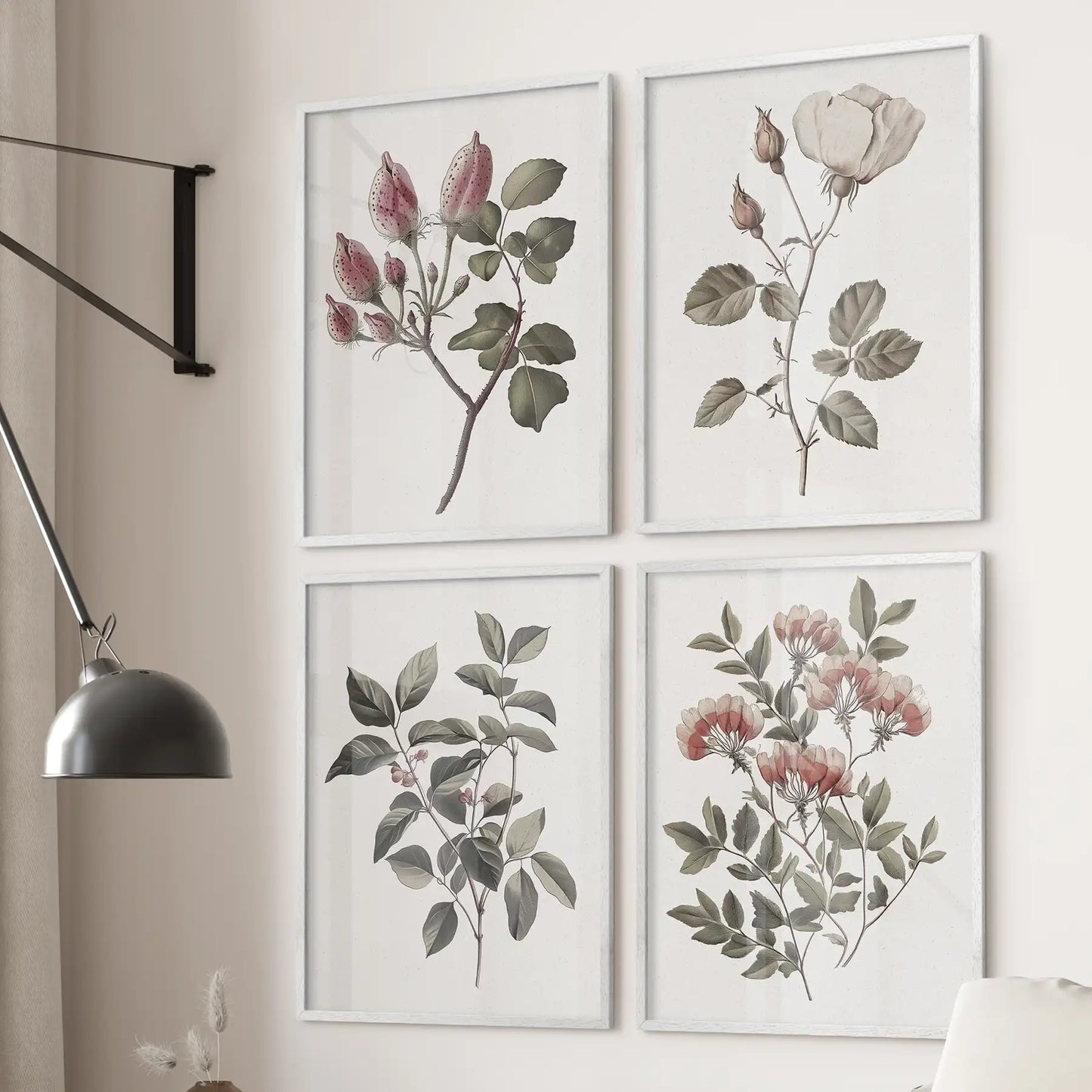 Botanical garden illustrations wall art. Vintage poster decor. White frames over the couch.
