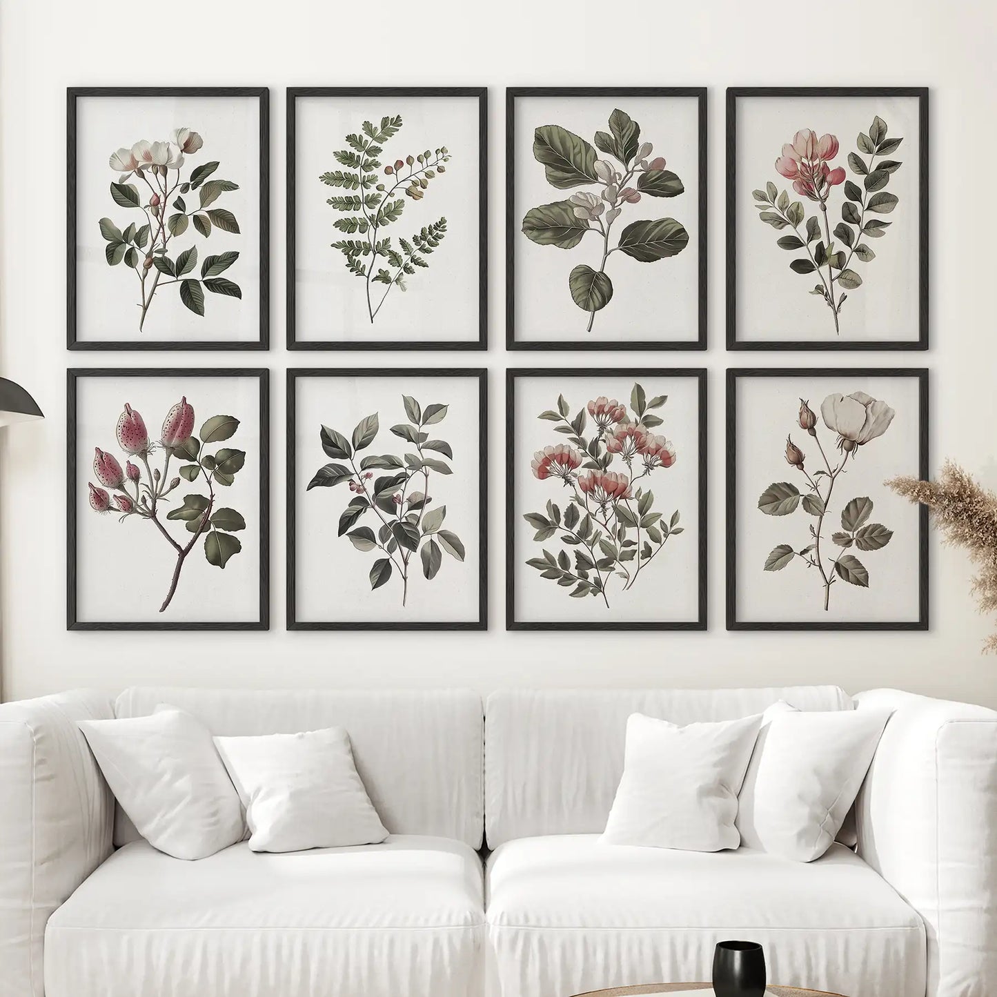Vintage cotton flower trendy art decor. Minimalist botanical art poster. Black frames over the couch.