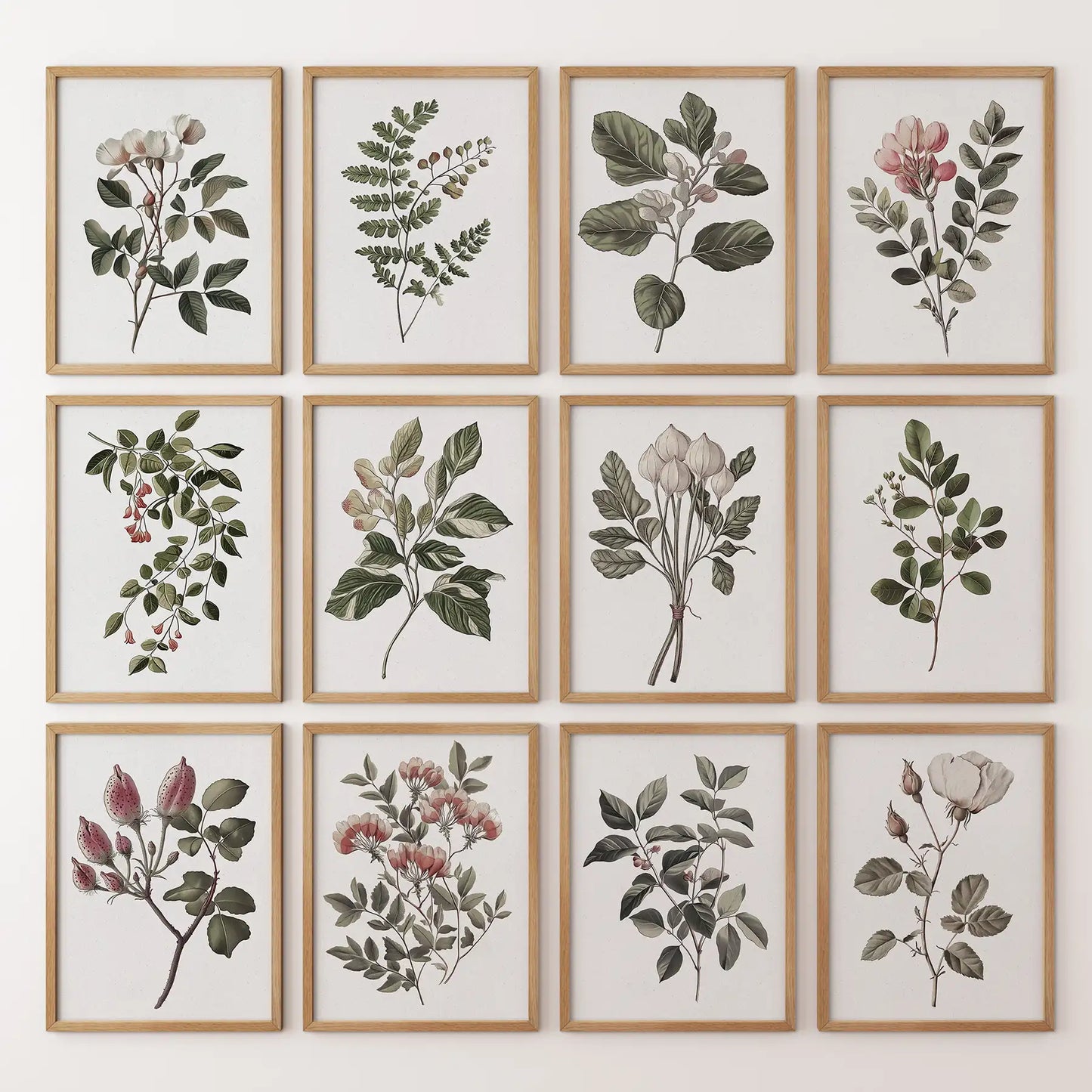Gallery wall of floral illustrations with classic botanical drawings in a 12 piece art set. Thinwood frames for bedroom.