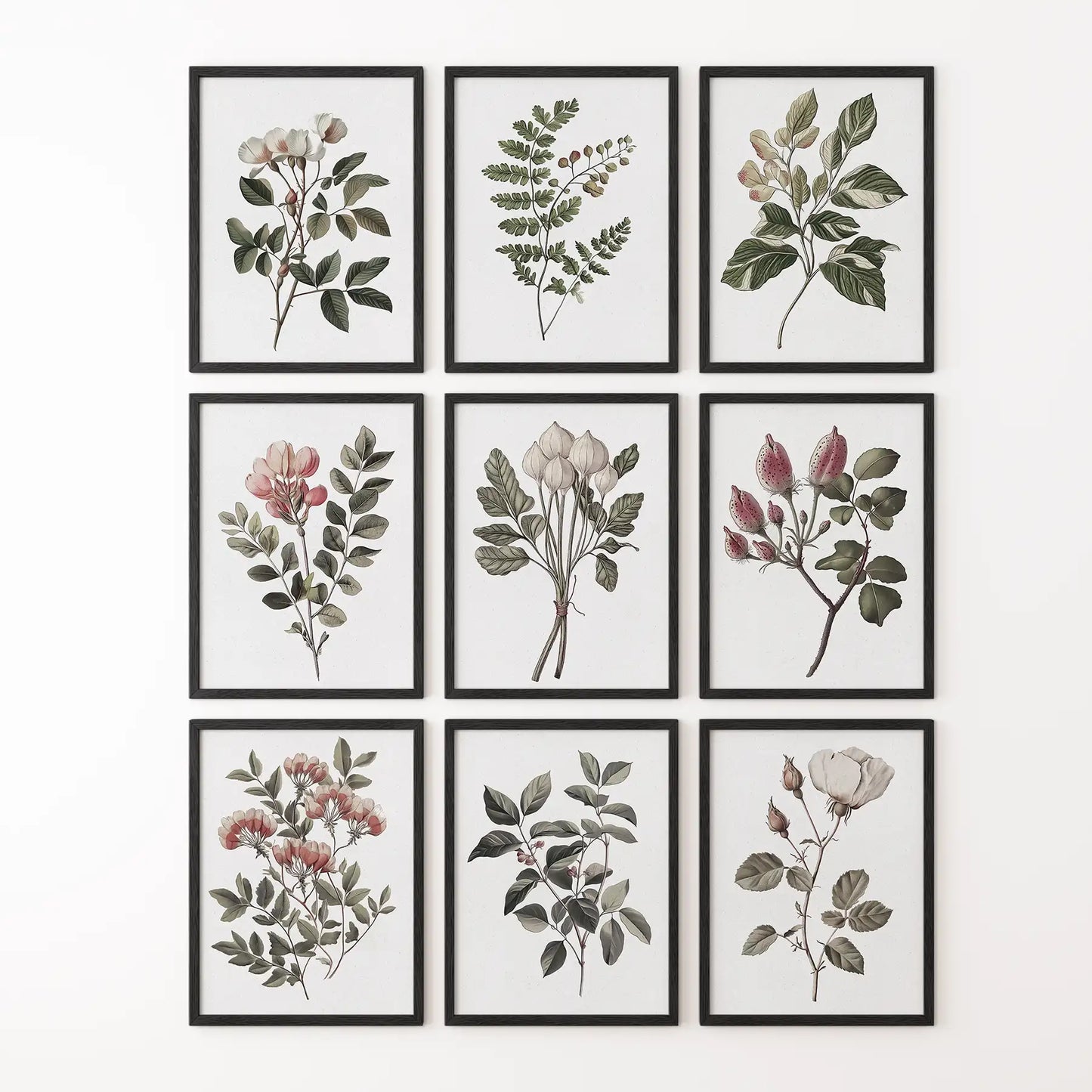 Cotton flower trendy print. Modern wall art for home. Black frames for bedroom.