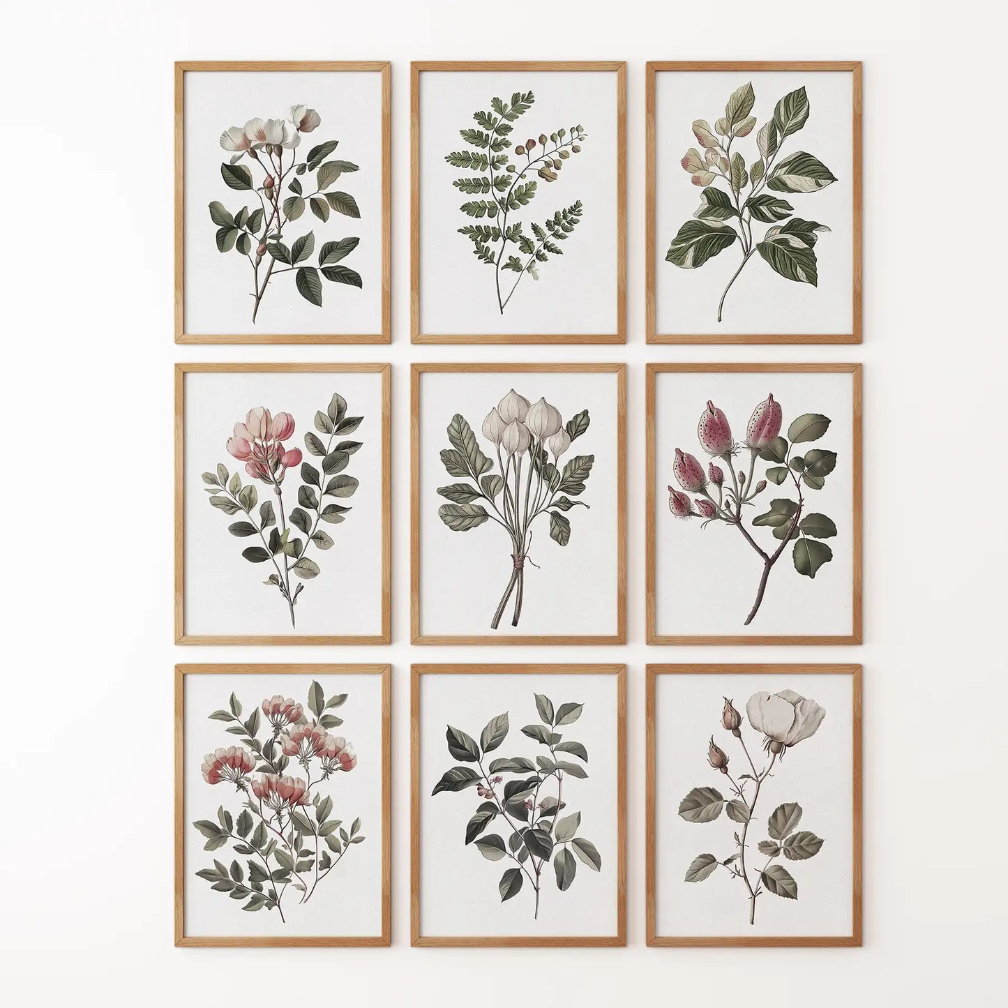 Roses botanical illustration. Modern wall art bundle floral prints. Wood frames for bathroom.