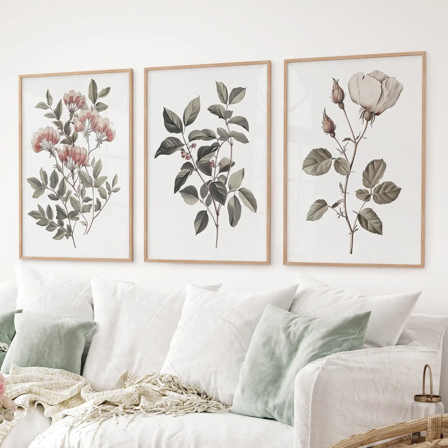 Rose painting retro floral wall prints. Botanical illustration plant lover wall art. Thinwood frames for kitchen.
