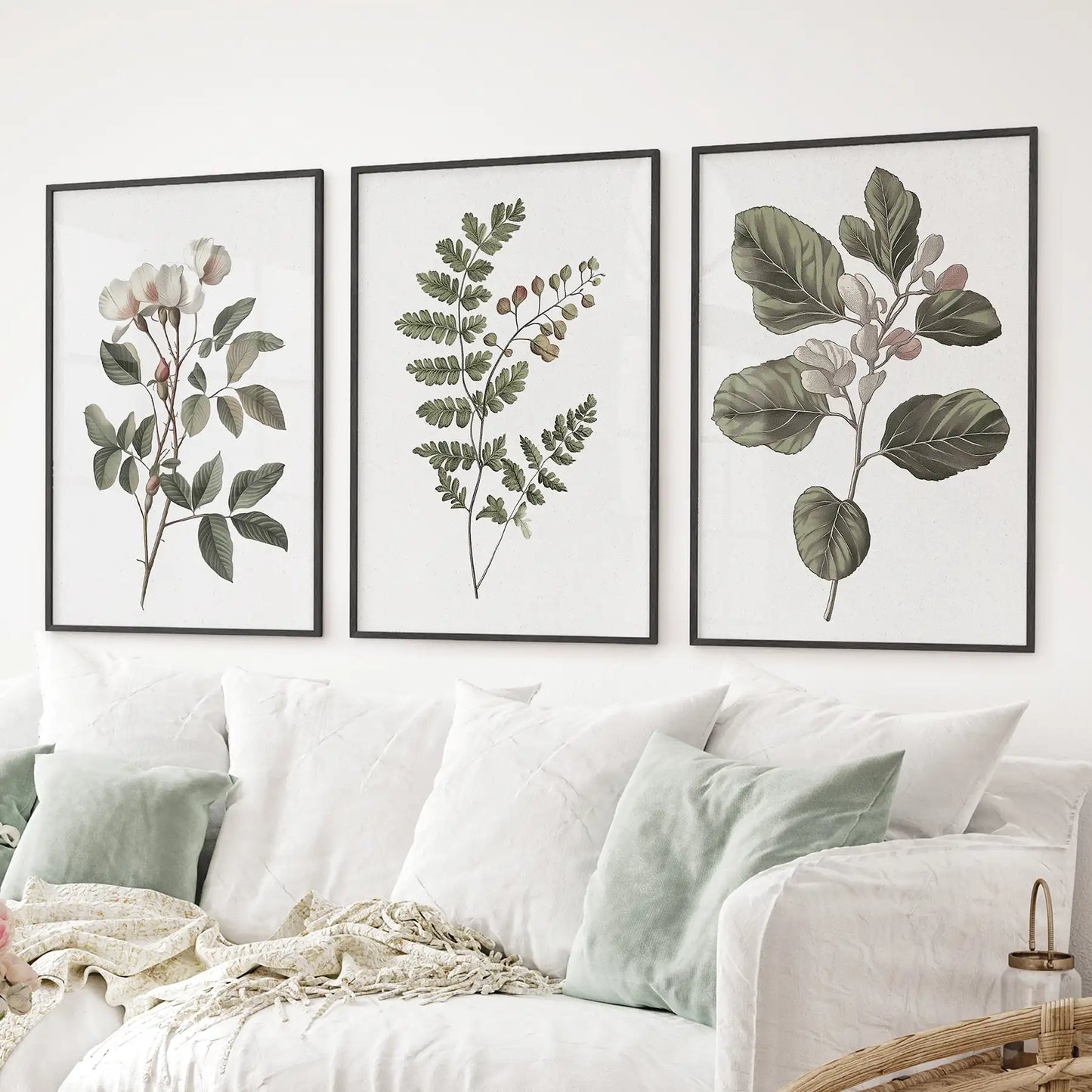 Botanical wall art set of 3 physical prints. Green leaf plant poster. Black frames over the couch.