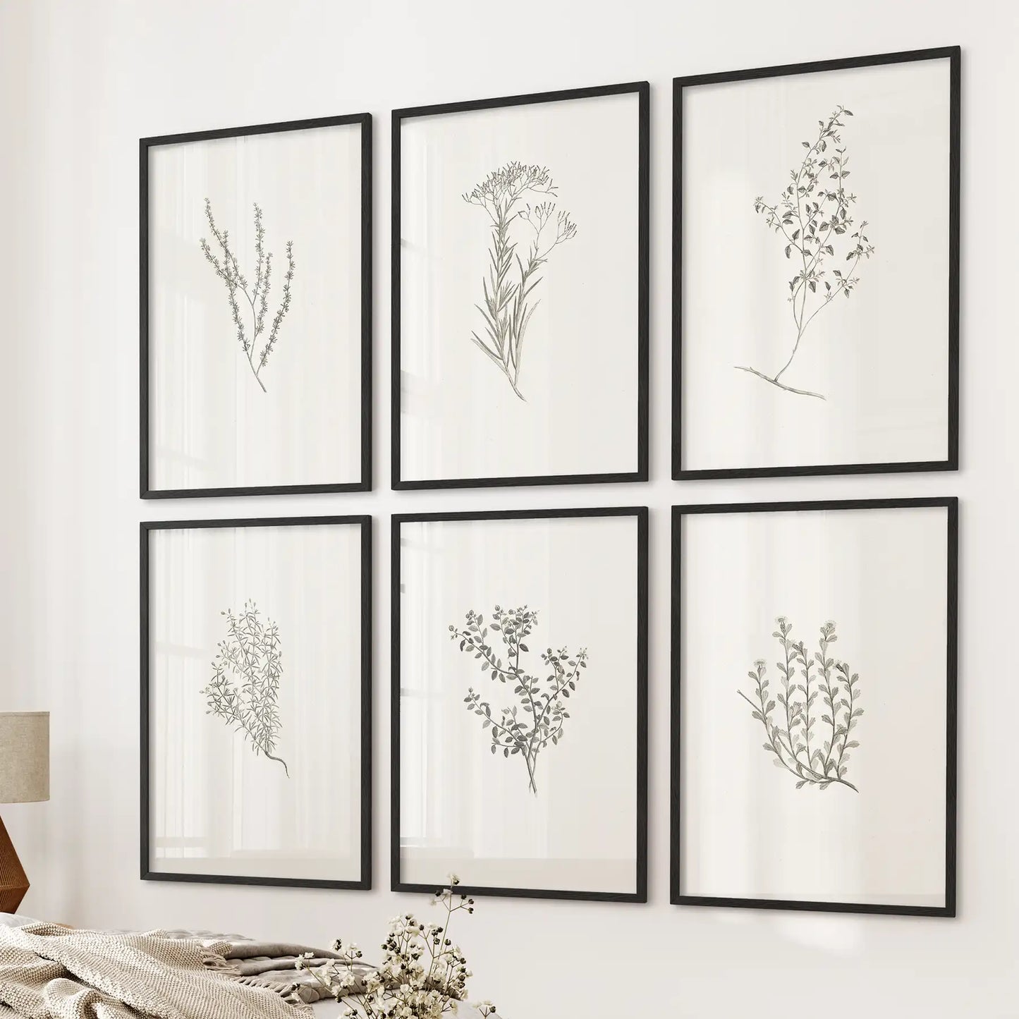 Neutral flowers 6 piece wall art set. Sage green botanical floral illustration. Black frames for living room.
