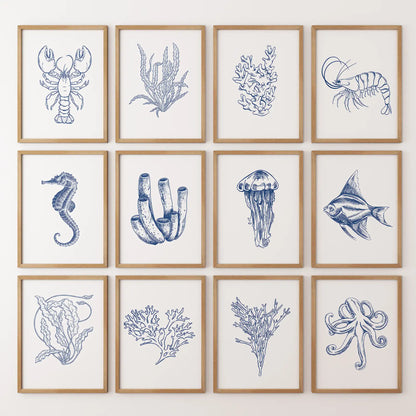 Set of 12 ocean themed prints with coral reefs and sea plants. Thinwood frames for beach house.
