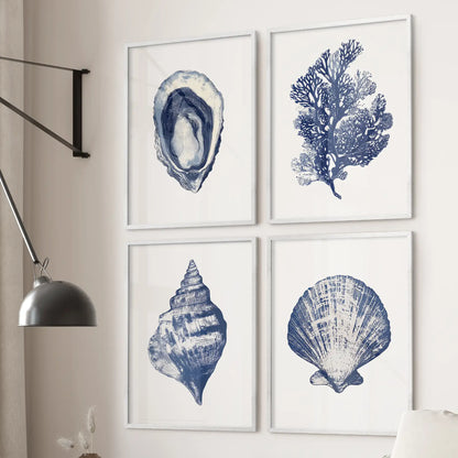 Set of 4 blue seashells and coral wall art. Ocean theme prints beach house decor. White frames for living room.