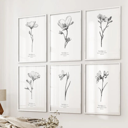 This six-piece wall art set of vintage botanical sketches in white frames lines the wall by the bed, adding a delicate and airy touch.