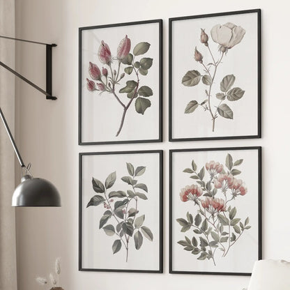 White rose flowers poster print. Antique botanical gallery wall set of 6 prints. Black frames for living room.