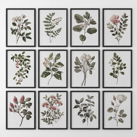 Vintage botanical wall art set of 12 prints featuring hand drawn flowers and plants. Black frames for living room.