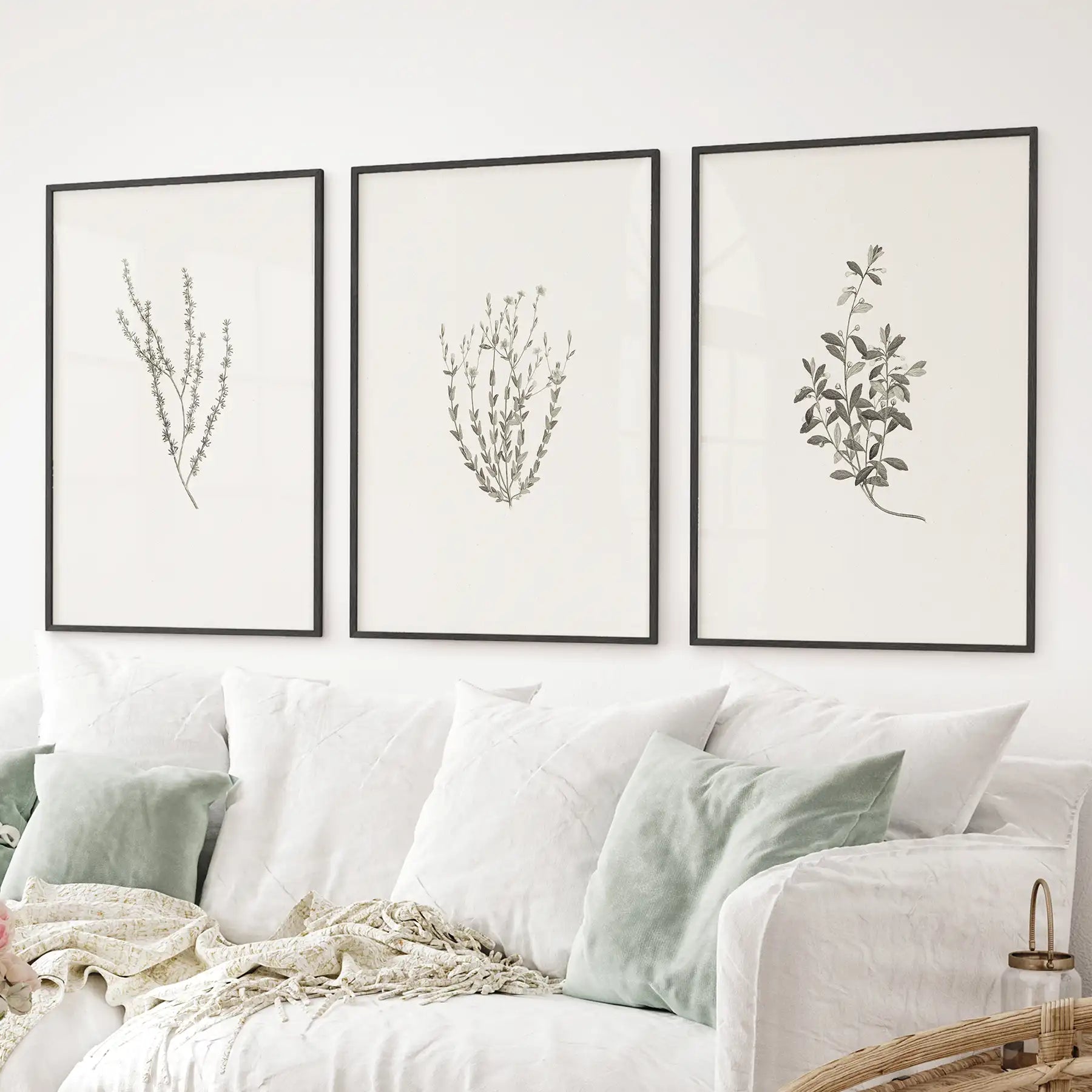 Neutral dried floral wall decor in black frames, country-style botanical art prints