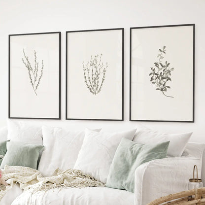 Neutral dried floral wall decor in black frames, country-style botanical art prints