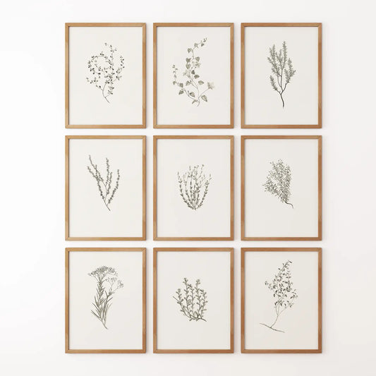 Vintage botanical herb illustration print. Farmhouse botanical wall art prints. Thinwood frames for kitchen.