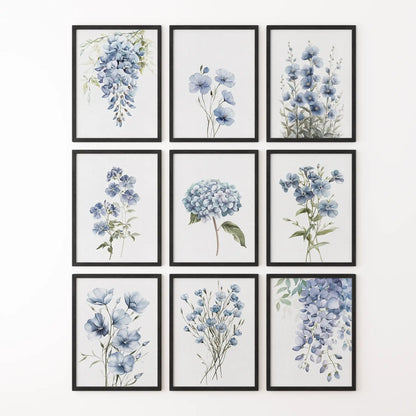 Watercolor hydrangea art print. Meadow wild flowers poster set. Black frames for apartment.