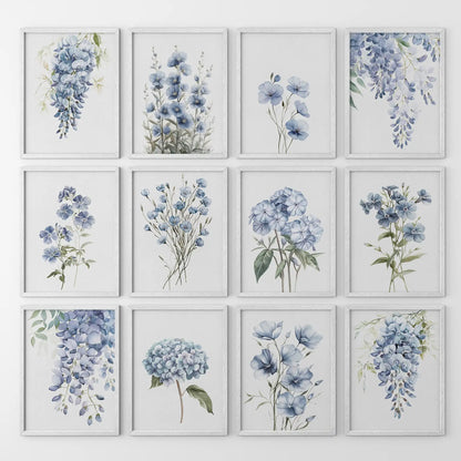 Blue botanical wall art 12 piece watercolor floral print set with hydrangea, delphinium, and soft blooms for modern home decor. White frames for living room.