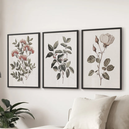 French country botanicals, a three-print wall art set, sit in black frames behind the living room couch to add natural texture and soft, timeworn elegance.