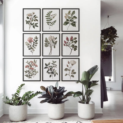 Watercolor flower wall art. Gallery Wall Set of 9 piece home prints. Black frames for living room.