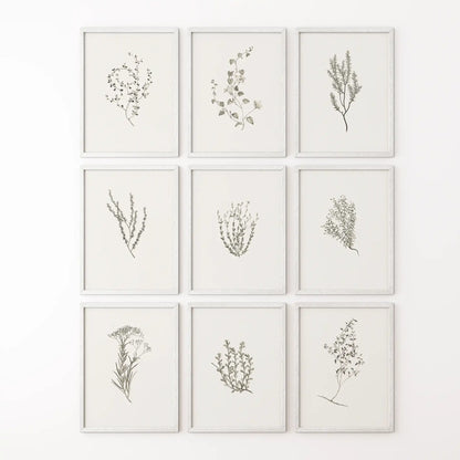 Scandinavian style herb artwork set in minimalist design. 9 piece wild greenery prints decor art. White frames for kitchen.