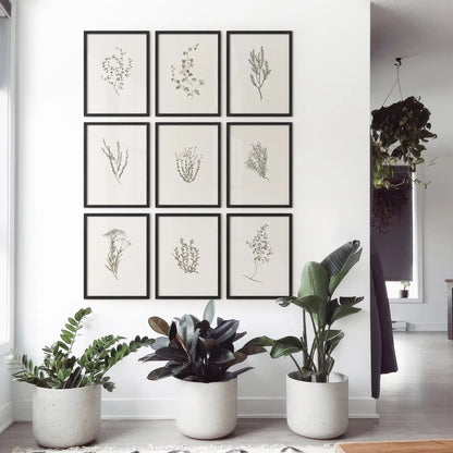Neutral botanical poster with vintage wildflowers and leaves. Black frames for bedroom.