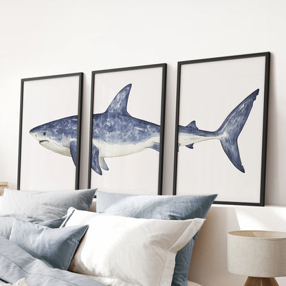 Shark Wall Art. Set of 3 Watercolor Ocean Animal Prints