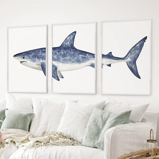Nautical shark wall art. 3 piece watercolor shark illustration modern ocean decor. White frames over the couch.