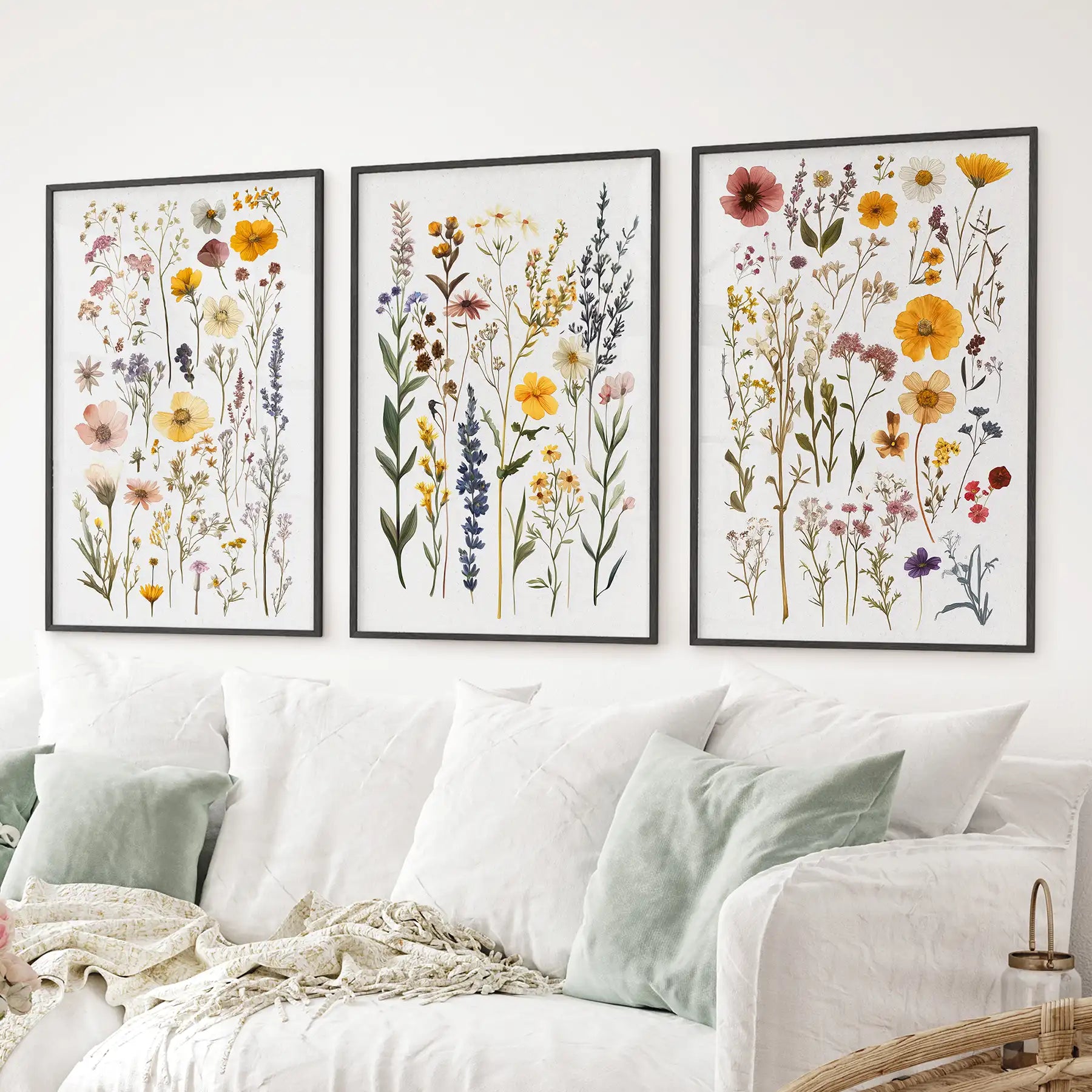 Botanical poster set with yellow, pink, and lavender flowers. Cottagecore art decor. Black frames above the sofa.