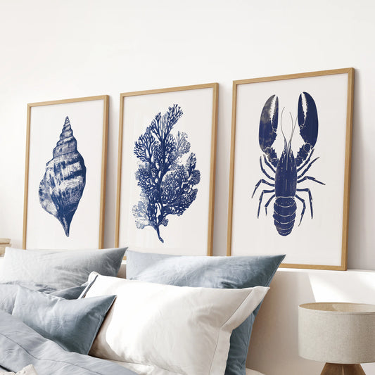 Blue coral illustrations 3-piece print set, oak framed, fits a blue bedroom above the bed headboard, adding simple coastal texture in navy tones.