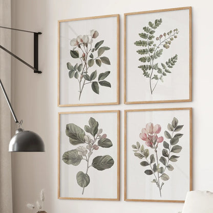 French country farmhouse botany poster. Sydney Parkinson plant set of 4 piece. Thinwood frames for apartment.