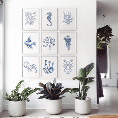 Coastal sea life wall art set including shrimp, seahorse, jellyfish, and ocean plants. White frames for living room.