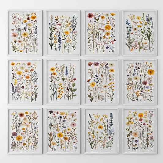 Twelve piece gallery wall featuring pressed flower illustrations and watercolor wildflowers in soft natural tones. White frames for living room.