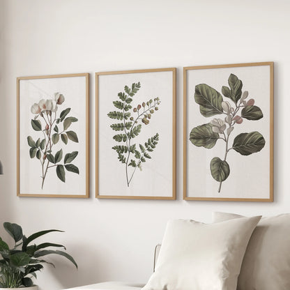 Antique herbarium illustrations, a trio of framed prints in thin wood frames, style the living room wall behind the sofa with vintage garden charm.
