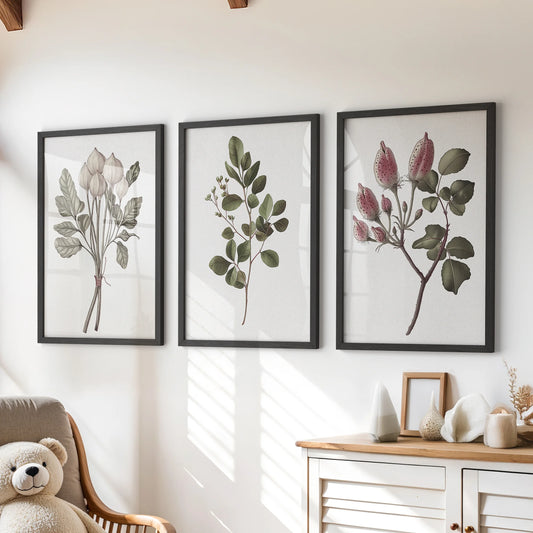 Vintage botanical flower illustrations in a set of three framed prints bring gentle texture to a kids playroom, hanging above the chest of drawers in black frames.