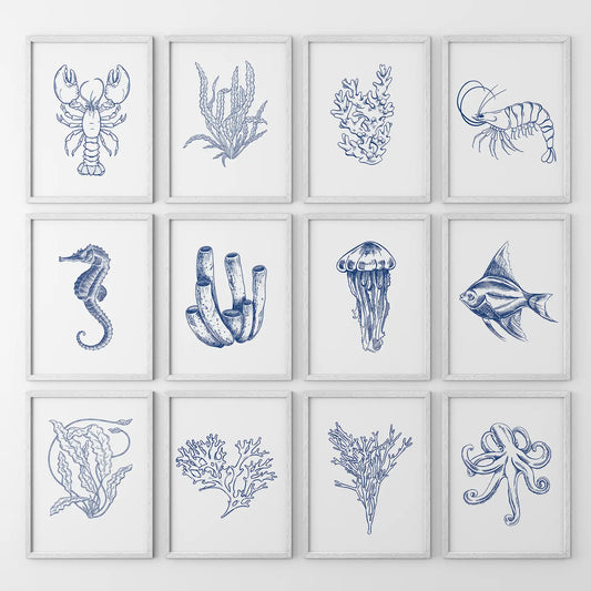 Nautical wall art set of 12 with sea creatures and coral. White frames for bedroom.