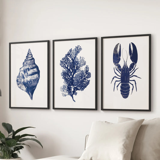 Seashell prints three-piece wall art, black framed, style a family room when displayed over a sectional sofa with seaside texture and navy tones.