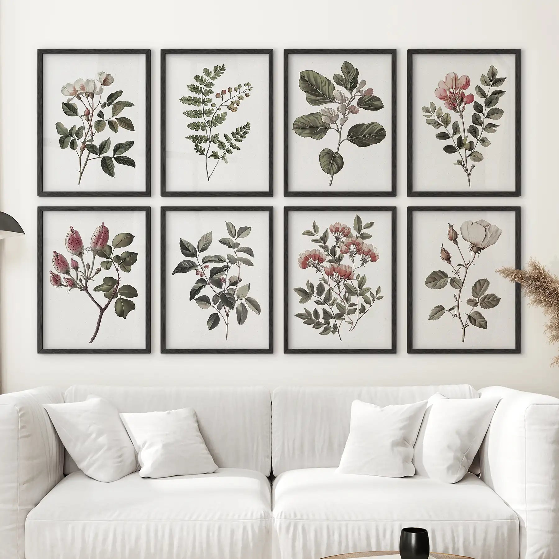 Vintage cotton flower trendy art decor. Minimalist botanical art poster. Black frames over the couch.
